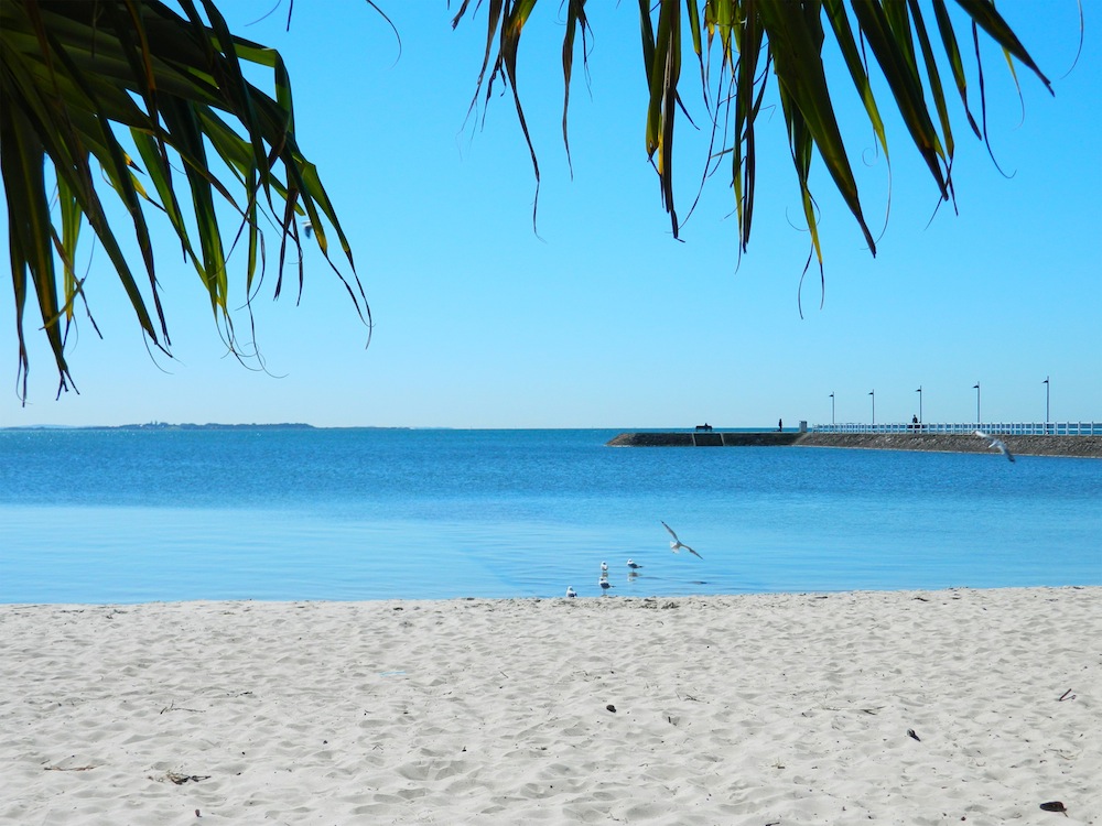 Brisbane's Best Beach - Pandanus Beach, Wynnum