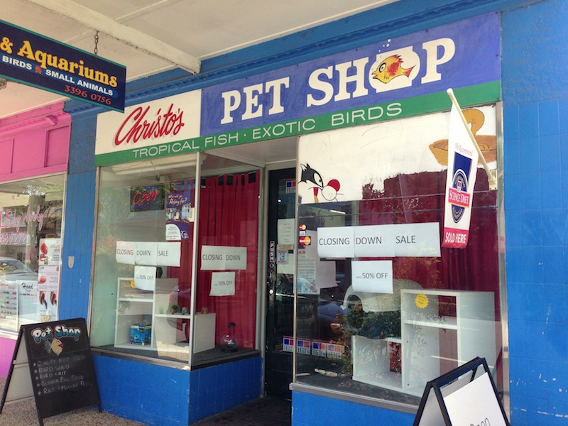 pet shop