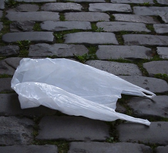 plastic bag