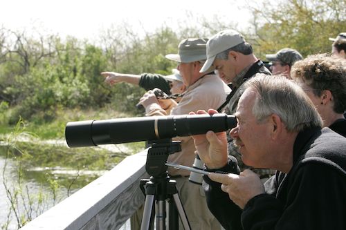 birdwatchers