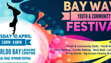 baywave festival